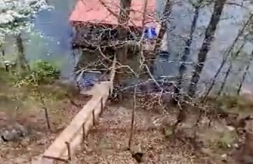 Speedwell House | Beautiful Norris Lake Lakefront House with Dock and lifts minutes from marina!