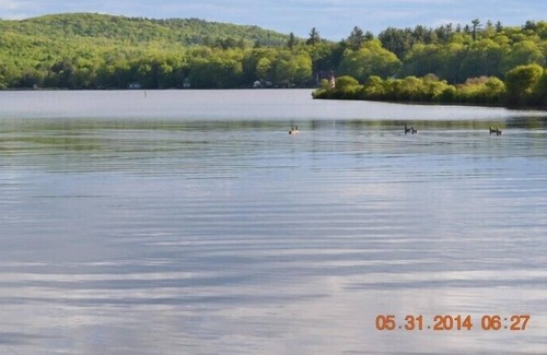 Washington House | Beautiful Peaceful Lake Front Property
