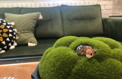 Texarkana Apartment | Beautiful Private Studio-Full Kitchen, W/D