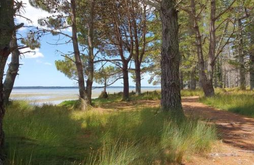 Katikati House | Beautiful Rural Retreat and Sapphire Springs Thermal Mineral Pools