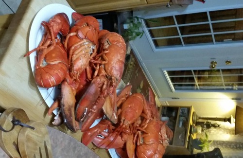 Pleasant Bay Cabin | Beautiful Rustic Cabin 5 min to Beach!!