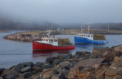 Pleasant Bay Cabin | Beautiful Rustic Cabin 5 min to Beach!!