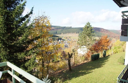 Niedersfeld Apartment | Beautiful view, 2TV. Infrared heating. Wireless Internet access.