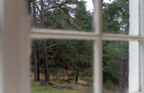 Alvie House | Beautiful villa for 4 guests with WIFI, TV, patio and pets allowed