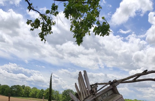 Ferretto Villa | Beautifully Decorated Property Surrounded by Vineyards'.