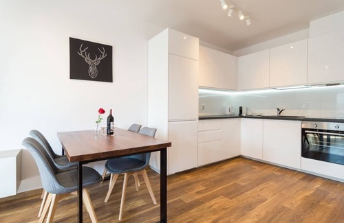 Podgorze Apartment | Beauty Apartment Zablocie 35 WiFi Balcony