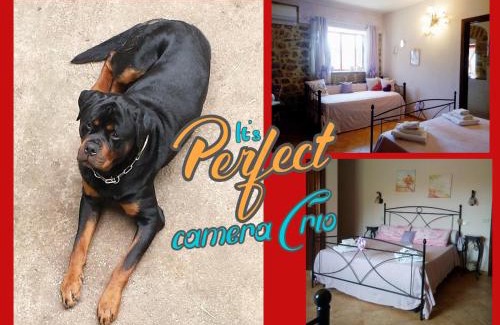 Fondi Bed & Breakfast | Bed and Breakfast della Regina.