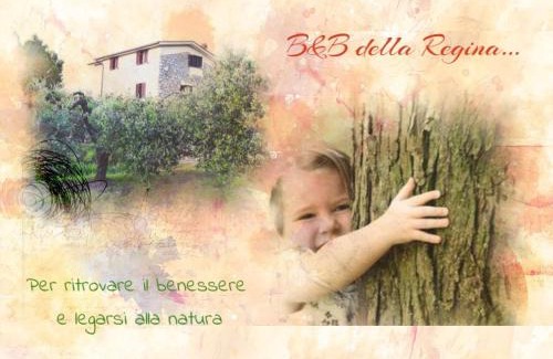 Fondi Bed & Breakfast | Bed and Breakfast della Regina.