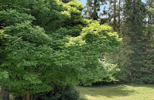 Saliceto Bed & Breakfast | Bed and Breakfast 'Il Giardino di San Martino' with Shared Garden and Wi-Fi