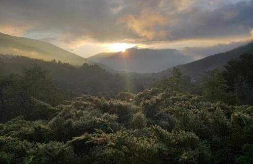 Cittaducale House | bed and breakfast "il Picchio Verde"