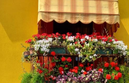 Montagnana House | Bed & Bike Belfiore