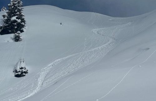 Campello Bed & Breakfast | Bed & Breakfast Cari a bordo pista