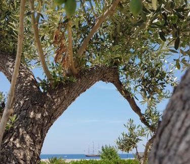 Giovinazzo Bed & Breakfast | Bed & Breakfast del Faro