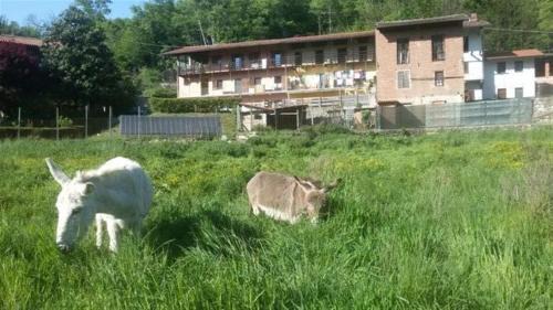 Chiaverano Bed & Breakfast | Bed & Breakfast Varionda