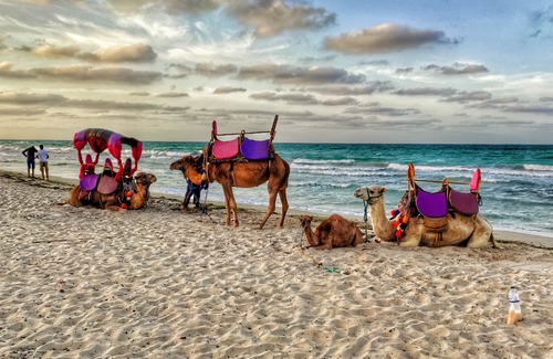 Kowale Oleckie Apartment | Bedrum Propum Kombinum123