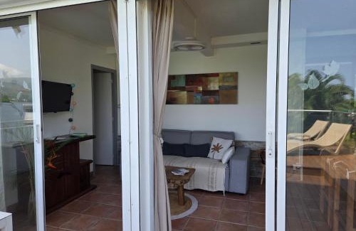 Gourbeyre Apartment | Bel appartement avec piscine privée et vue exceptionnelle