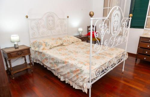 Santo Antonio House | Bela AL