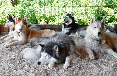 Petrovo Hotel | Belarus Hotel ETHNOMIR