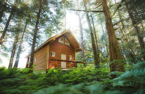 Hagensborg Ski Chalet | Bella Coola Grizzly Tours and Resort