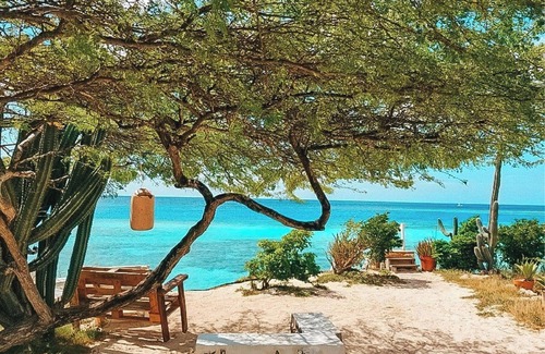 Pos Chiquito Condo | Bella Horizonte - Beachfront 8