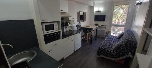 Argeles Plage Apartment | BELVEDERE 2 - Vue MER - Acces Direct Plage