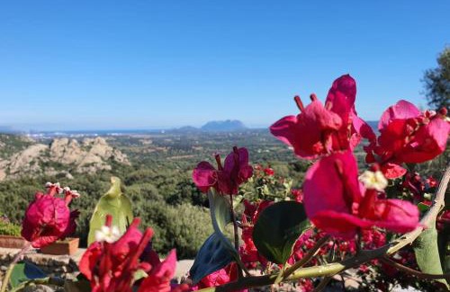 Telti Apartment | Belvedere Country House