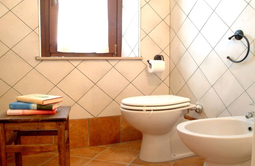 Vigne Other | Belvedere Cramaccioli farmhouse for stays in Umbria in the magnificent Narni