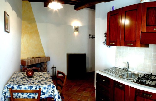 Vigne Other | Belvedere Cramaccioli farmhouse for stays in Umbria in the magnificent Narni