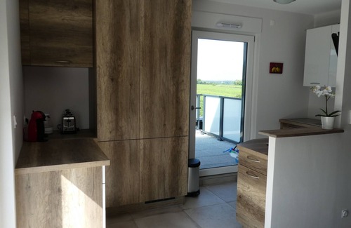 Bennwihr Apartment | BENNWIHR-ALSACE ▶️entre Riquewihr and Kaysersberg near COLMAR 🎄PROMO NOËL