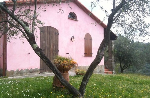 Calice al Cornoviglio House | Bere Regis: Valdonica - farmhouse among olive groves and vineyards