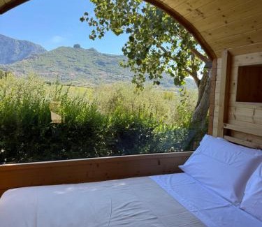Montecorvino Rovella Other | Berenice Glamping