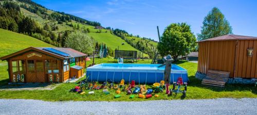 Taxenbach Ski Chalet | Bergbauernhof Kinderparadies Oberhasenberghof