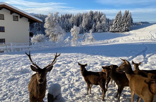 Sankt Johann in Tirol House | Berghof Haselsberger