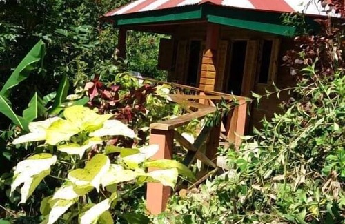 Fond Cani Cottage | Berkey's Jungle Paradise