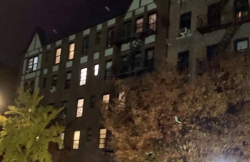 Inwood Apartment | Best cozy Studio in inwood !