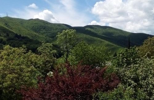 Sighnaghi House | Best Host