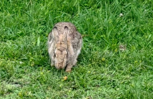 Lake Brenton House | Best Kept Secret - Svala Guesthouse