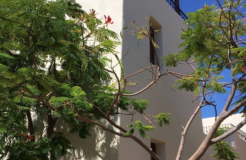 Nopolo Villa | BEST LOCATION IN NEIGHBORHOOD!
