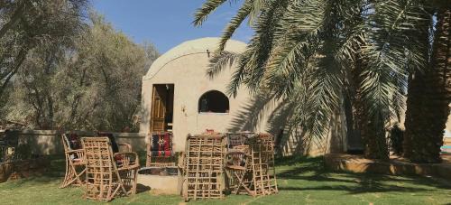 Siwa Cabin | Best One - بيست ون