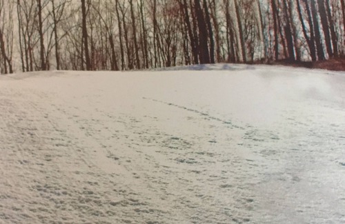 Boyne Falls Villa | Best Skiing, Snowboarding in Michigan; Hot Tub and Heated Pool