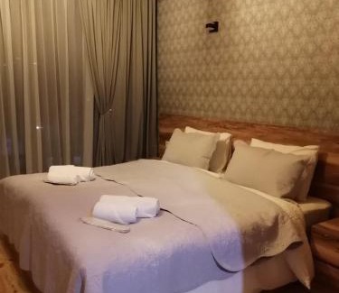 Stepantsminda Hotel | Best view Kazbegi