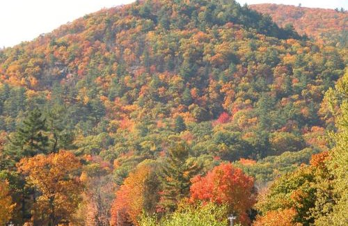 Lake George Hotel | Best Western of Lake George