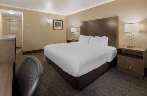 College Hotel | Best Western Plus Chena River Lodge