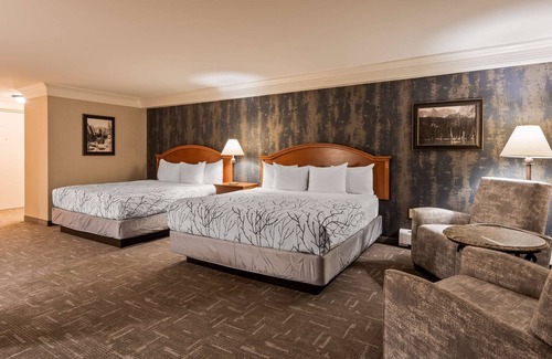 Estes Park Hotel | Best Western Plus Silver Saddle Inn