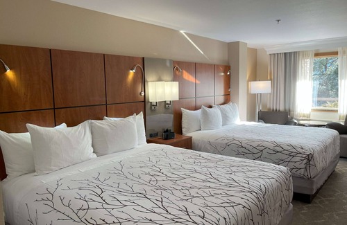 Estes Park Hotel | Best Western Plus Silver Saddle Inn