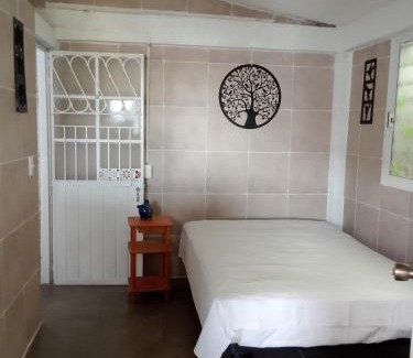 Hornos Insurgentes Apartment | Bien ubicado, cerca de todo