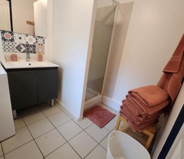 Brequerecque Apartment | Bienvenue aux mouettes bleues !
