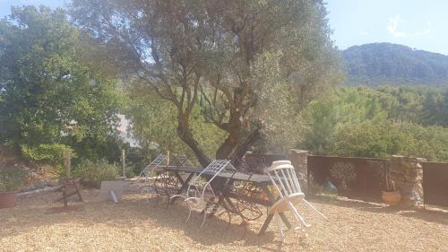 Le Revest-les-Eaux House | BIENVENUE