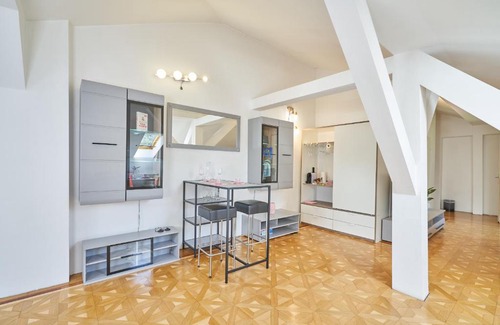 Baden House | Big Apartment in Guesthouse