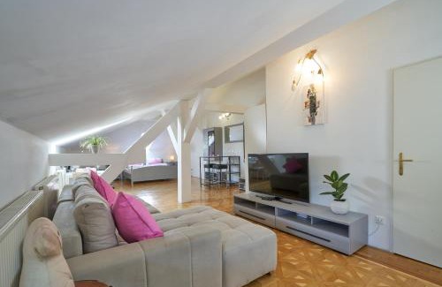 Baden House | Big Apartment in Guesthouse